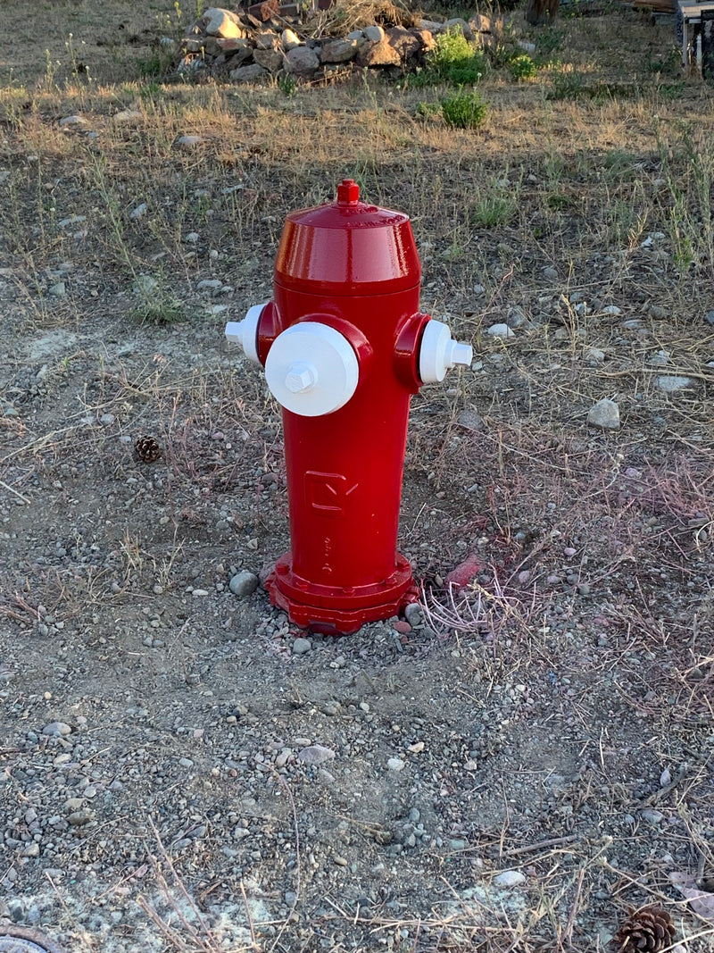 Fire Hydrant Sandblasting and Painting - After